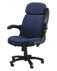 Comfort Big and Tall Pivot Arm Chair in Blue - Mayline Office Furniture - 6446AG2111