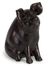 Curious Pig Figurine - IMAX - 13423