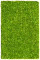Dalyn Bright Lights Lime Tufted Area Rug - BG69LM