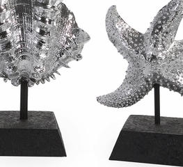 Decorative Silver Shells (Set of 4) - IMAX - 1403-4