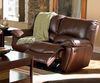 Double Reclining Loveseat in Brown Leather - Coaster