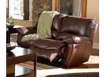 Double Reclining Loveseat in Brown Leather - Coaster