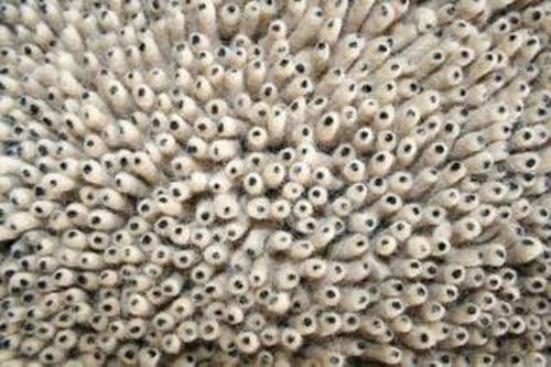 Eastern Weavers Shag Eyeball Beige Hand Woven Rug