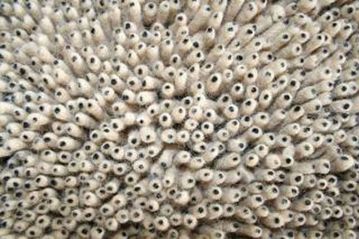 Eastern Weavers Shag Eyeball Beige Hand Woven Rug