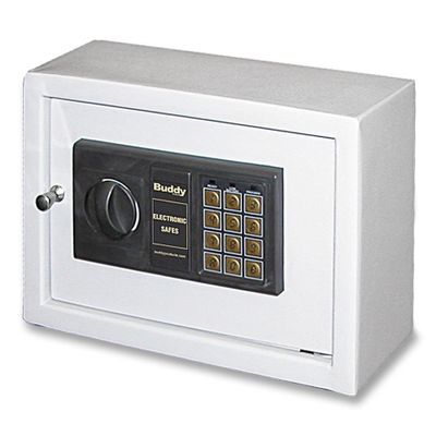 Electronic Safe - Platinum - BDY321132