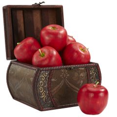 Faux Apple (Set of 6) - Nearly Natural - 2139