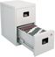 Fire Safe 2 Drawer Office File Cabinet - Sentry Safe - 6000