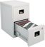 Fire Safe 2 Drawer Office File Cabinet - Sentry Safe - 6000