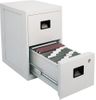 Fire Safe 2 Drawer Office File Cabinet with Full Service Delivery - Sentry Safe - 6000