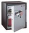 Fire Safe Business Electronic Safe - Sentry Safe - OA5848