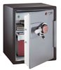 Fire Safe Business Electronic Safe with Full Service Delivery - Sentry Safe - OA5848