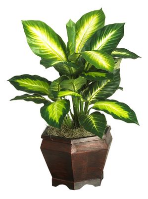 Golden Dieffenbachia with Wood Vase Silk Plant in Green - Nearly Natural - 6592-0507