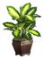 Golden Dieffenbachia with Wood Vase Silk Plant in Green - Nearly Natural - 6592-0507