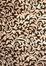 Hand Carved Machine Woven Rug - 5' 3" x 7' 6" - Terra 8018-8002 - International Rugs