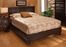 Harbortown Queen Size Platform Bed in Brown Vinyl - Hillsdale Furniture - 1611BQR