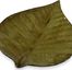 Hoja Decorative Plates (Set of 3) - IMAX - 94073-3