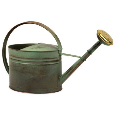 Leva Oval Verdigris Copper Watering Can - IMAX - 44086