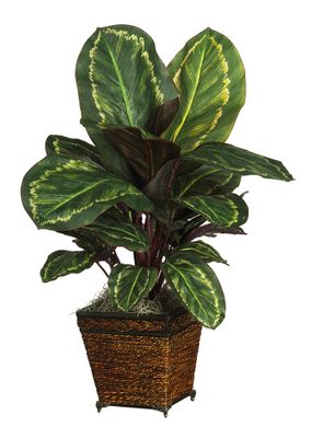 Maranta with Basket Silk Plant in Green - Nearly Natural - 6590-0506