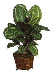 Maranta with Basket Silk Plant in Green - Nearly Natural - 6590-0506