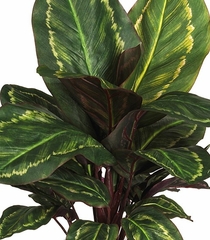 Maranta with Basket Silk Plant in Green - Nearly Natural - 6590-0506