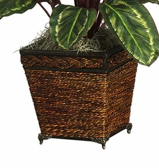 Maranta with Basket Silk Plant in Green - Nearly Natural - 6590-0506