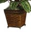 Maranta with Basket Silk Plant in Green - Nearly Natural - 6590-0506