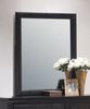 Mirror - Dylan Mirror in Black - Coaster - 201404