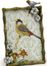 Nida Bird Frames (Set of 2) - IMAX - 27420-2