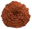Norida Pillow - IMAX - 42023