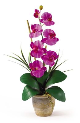 Phalaenopsis Silk Orchid Flower Arrangement in Orchid - Nearly Natural - 1016-OR