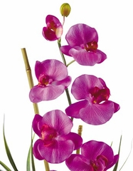 Phalaenopsis Silk Orchid Flower Arrangement in Orchid - Nearly Natural - 1016-OR