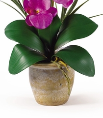 Phalaenopsis Silk Orchid Flower Arrangement in Orchid - Nearly Natural - 1016-OR