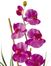 Phalaenopsis Silk Orchid Flower Arrangement in Orchid - Nearly Natural - 1016-OR