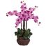 Phalaenopsis with Decorative Vase Silk Flower Arrangement - Nearly Natural - 1211-MA