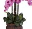 Phalaenopsis with Decorative Vase Silk Flower Arrangement - Nearly Natural - 1211-MA