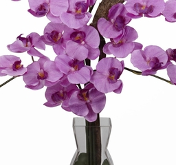 Phalaenopsis with Vase Silk Flower Arrangement - Nearly Natural - 1191-MA