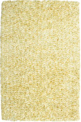 Powell Bombay Luxe Shag Rug Popcorn Microfiber