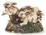 Racing Rabbits - IMAX - 9156