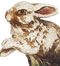 Racing Rabbits - IMAX - 9156