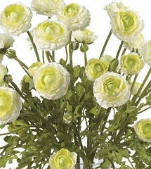 Ranunculus Liquid Illusion Silk Flower Arrangement in Cream - Nearly Natural - 1087-CR