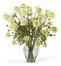 Ranunculus Liquid Illusion Silk Flower Arrangement in Cream - Nearly Natural - 1087-CR