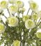 Ranunculus Liquid Illusion Silk Flower Arrangement in Cream - Nearly Natural - 1087-CR