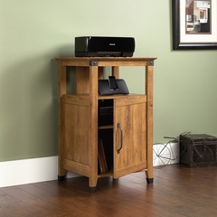 Registry Row Technology Pier Amber Pine - Sauder Furniture - 412375