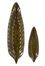 Rona Leaf Plates (Set of 2) - IMAX - 94121-2