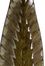Rona Leaf Plates (Set of 2) - IMAX - 94121-2