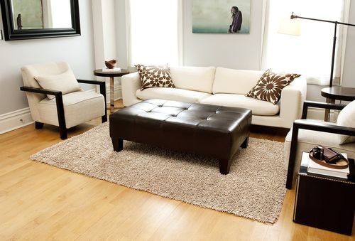 Silky Shag Rug - 3' x 5' - Beige - AMB0654-0035