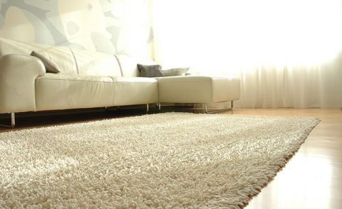Silky Shag Rug - 4' x 6' - Ivory - AMB0651-0046