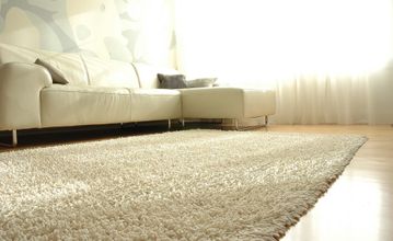 Silky Shag Rug - 8' x 10' - Ivory - AMB0651-0810