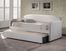 Springfield Daybed with Trundle - Hillsdale Furniture - 1642DBT