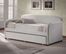 Springfield Daybed with Trundle - Hillsdale Furniture - 1642DBT